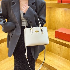 Sac à main de luxe pour femme de qualité supérieure, élégant, style designer, sac à bandoulière haut de gamme pour femme, sac fourre-tout tendance avec quincaillerie classique - Product Image 3