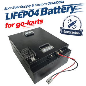Paket Baterai LiFePO4 Long Life 48V 60V 72V 30Ah 50Ah 60Ah 100Ah untuk OTL Superleggero Electric Go Kart Racing dan Buggy - Product Image 1