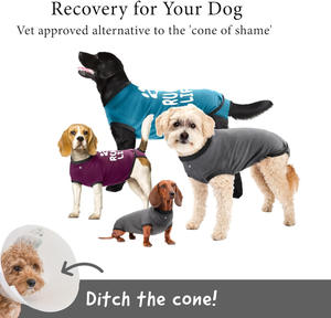 Ropa Postoperatoria para Perros y Gatos, Pantalones Teddy para Golden Retriever y <span class=keywords><strong>Schnauzer</strong></span>, Todas las Temporadas, Europa, Éxito de Ventas Transfronterizo - Product Image 5