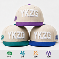 Fabricante Profesional de Gorras de Béisbol de 5 Paneles de Algodón, Logotipo Bordado en 3D, Gorra Deportiva de Moda con Contraste de Color, Personalizable