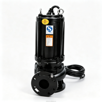 Pompe submersible de traitement des eaux usées 7,5 kW triphasée DN80 avec broyeur pour le transport des eaux usées
