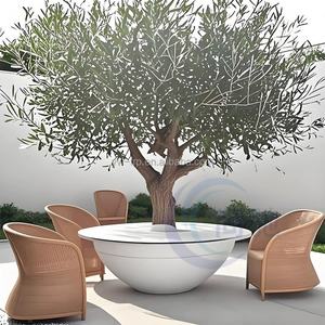 YW052 Maceta de jardín redonda de FRP personalizada de gran diámetro Greening Landscape Asientos de ocio Macetas de calidad para decoración al aire libre - Product Image 4