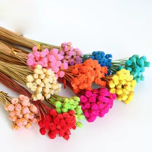 Branches brésiliennes, fleurs séchées, petites fleurs sauvages, arrangements floraux, décoration intérieure, fleurs séchées - Product Image 2