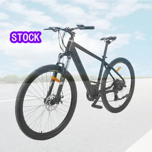 SAFEWAY Factory EN15194 and CE 36v electric city bike lithium battery bicycle 21 Speed Electric Bike 48V 350W Ebike