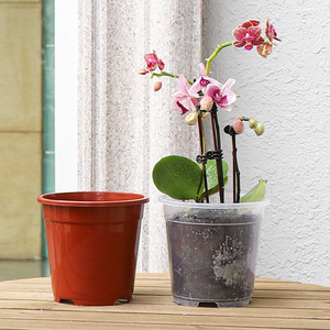 Papillon orchidée contrôle des racines <span class=keywords><strong>Pot</strong></span> <span class=keywords><strong>en</strong></span> plastique <span class=keywords><strong>Arum</strong></span> <span class=keywords><strong>fleur</strong></span> bougie vigne vert velours creux Transparent jardin <span class=keywords><strong>Pot</strong></span> de <span class=keywords><strong>fleur</strong></span> - Product Image 4