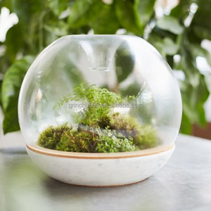 Terrario Vaso Mouthblown Geometrica Borosilicato <span class=keywords><strong>di</strong></span> <span class=keywords><strong>Vetro</strong></span> Piante Terrario Vaso <span class=keywords><strong>di</strong></span> <span class=keywords><strong>Vetro</strong></span> - Product Image 2