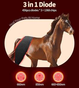 Nuovo rosso + luce infrarossa di terapia equina tappeti 660nm 850nm equino Infra terapia luce rossa Poll Cap e collo per cavallo corpo intero - Product Image 4