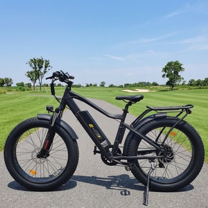 Bicicleta Eléctrica de Montaña con Llantas Gruesas de 26 Pulgadas y 750w de Alto Rendimiento, Fabricada por OEM, para Hombre - Product Image 1