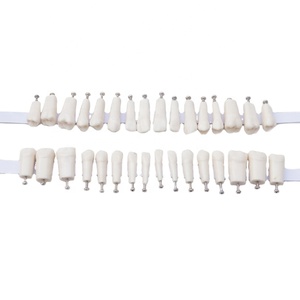 Nissin-modelo de dientes humanos de imitación, reemplazo de dientes, 32 o 28 unidades, modelo de ciencia médica, modelo educativo - Product Image 1