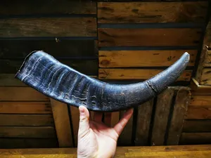 Paire de cornes de buffle naturelles authentiques pour montage mural rustique et décoration de la maison paire de cornes longues polies à la main à bas prix - Product Image 5