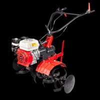 EUROSYSTEMS Motor-Hoe Euro 102 3 Kecepatan 4 Tak Mesin Bensin 163cc OHV Gx160 Rotavator 95 Cm Disk Pengolah Tanah 34cm