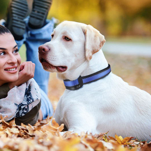 <span class=keywords><strong>Collar</strong></span> Antiladridos para Perros, Azul, Funciona con Batería, <span class=keywords><strong>Collar</strong></span> de Choque Antiladridos - Product Image 5