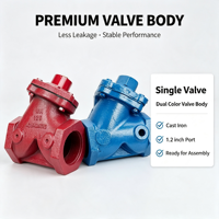 Vanne de régulation en fonte de type Y pour pipeline industriel DN32 1,2 pouces, filetage femelle, pour air/média abrasifs, anti-refoulement, Born Machinery