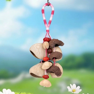 Wholesale Ethnic Handwoven Rope Fruit‑Shell <b>Wind</b> <b>Chime</b> Multiple Style Natural Bodhi Seed Bell Hanging Decor Handicraft Souvenir - Product Image 5