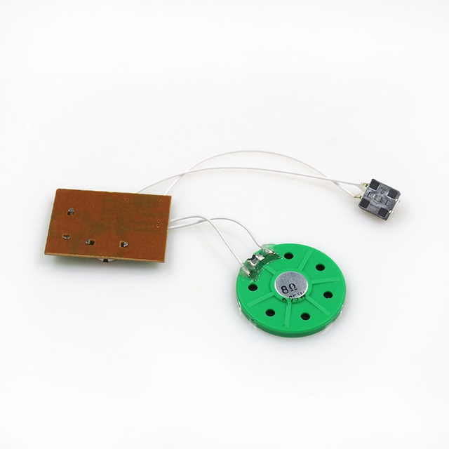 Push Button Voice Recording Customized USB Programmable Record Voice Music Sound Module Chip for Greeting Card and Gift