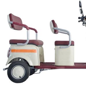 Véhicules électriques Voiture Pedicab Automobile électrique <span class=keywords><strong>Petit</strong></span> mini véhicule 48V 60V Tous les véhicules récréatifs électriques - Product Image 6