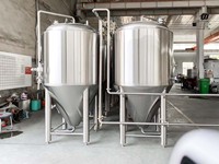Fermenteur conique 300L avec trappe latérale, isolé et pressurisé, pour la fermentation de la bière, avec pierre de carbonatation, en acier inoxydable, type Unitank
