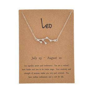 Collane con Ciondolo dei 12 Segni Zodiacali, Gioielli, Collana Choker, Collana con Charm Zodiacale, Regali di Compleanno, Acquario, Pesci, Leone, Vergine - Product Image 1