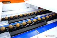 Elektronische Fruitmaat Voor Citroen Of Limoen Met De Hoogste Technologie Voor Grootte En Eenheid Van Vsee Company