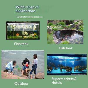 Red de Pesca Duradera de Malla Fina con Mango para Acuarios <span class=keywords><strong>y</strong></span> Estanques - Product Image 4