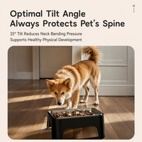 Gamelle surélevée portable en acier inoxydable et plastique pour chien – Support ergonomique pour la protection du cou, antidérapant et mignon