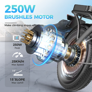 Bicicletta Elettrica Pieghevole Portatile 250W 14 Pollici 25km/h con Gomme Larghe Bici Elettrica per Adulti - Product Image 5