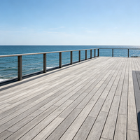 Planches de terrasse en composite co-extrudé WPC pour extérieur