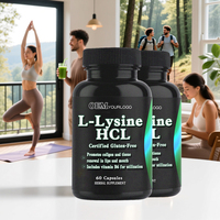 Capsule de L-Lysine, source végétale d'acides aminés, soutien du système immunitaire, fabricant OEM ODM, vente en gros