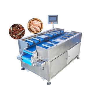Balance alimentaire industrielle à 14 têtes, peseuse par lots, balance combinée à alimentation manuelle avec 14 cellules de pesage - Product Image 2