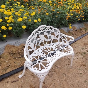 Chaise <span class=keywords><strong>de</strong></span> parc <span class=keywords><strong>banc</strong></span> d'extérieur chaise à fleurs Carton forgé meubles modernes <span class=keywords><strong>Pvc</strong></span> chaise <span class=keywords><strong>de</strong></span> noddle fonte d'aluminium fer <span class=keywords><strong>jardin</strong></span> Patio loisirs - Product Image 6
