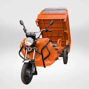 Tricycle de ferme, cargo, tricycle électrique, générateur de charge, pour adultes, tricycle électrique, voiture de tourisme, pour adultes