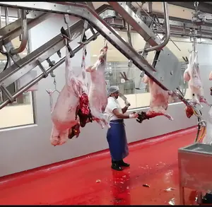 Linha De Abate De Cordeiro Muçulmano Com Processamento De Carne De Cabra Equipamento De Corte De Matadouro