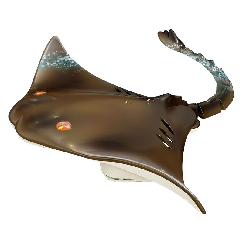 Flying Fish with Remote Control Fun for Kids Adults