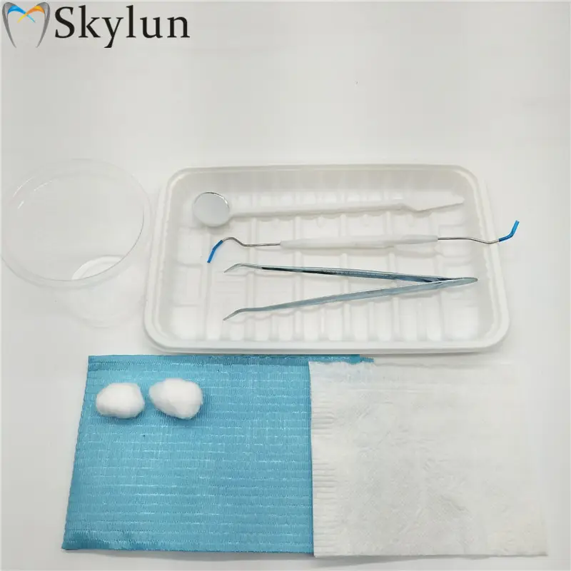 disposable dental instruments kit/Dental Surgical Disposable Tool Instrument Hygiene Examination Set