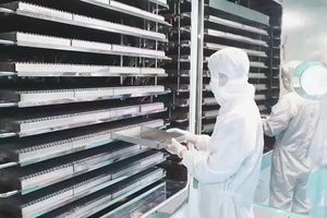 เซรั่มคอลลาเจนสกัดจากว่านหางจระเข้ป่าเซรั่มบำรุงผิวหน้า - Product Image 6