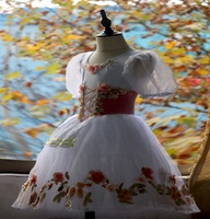 Nouvelle robe de tutu de ballet Giselle attrayante pour filles et adultes, vêtements de danse en tulle blanc et rose, taille personnalisée