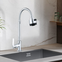 Robinet de cuisine en plastique économique, couleur électro-plaquée, tuyau flexible, double fonction de sortie, prix d'usine, disponible en gros