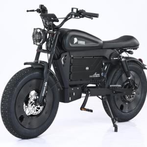 Bicicleta Eléctrica HCBK-SS10 de Aluminio con Llantas de 20 Pulgadas, Batería de Litio de 60AH, Alcance de 140KM, Motor Electrónico sin Escobillas, Unisex para Adultos - Product Image 2