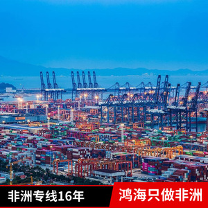 Logística de Hon Hai en África, Transporte Marítimo y Aéreo de Carga en África - Product Image 2