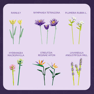 JIESTAR JJ9046 891 Piezas Serie Flores Ramo de Aves del Paraíso Bloques de Construcción Modelo Técnico Juguete Educativo Regalo Festivo - Product Image 3