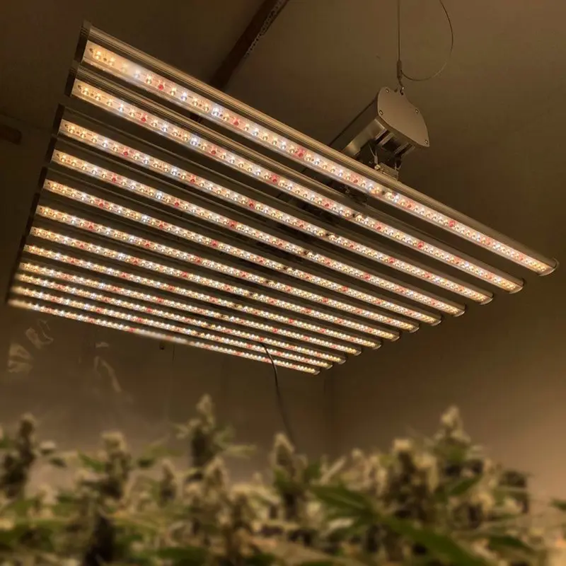 Luxint Dropshipping Snelle Verzending Lux 360W 720W Led Licht Groeien Voor Verticale Farm Indoor Hydrocultuur