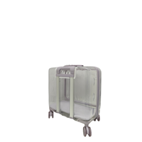 Valise transparente pour animaux de compagnie, vue panoramique à 360°, sac de voyage à roulettes, transporteur respirant et transparent pour petits chiens et chats