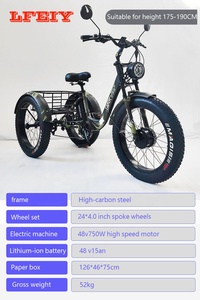 China Family 48V Triciclo eléctrico de <span class=keywords><strong>3</strong></span> ruedas Movilidad 20 pulgadas Adulto <span class=keywords><strong>3</strong></span> ruedas Neumático gordo Triciclos eléctricos Triciclo para transporte - Product Image 6