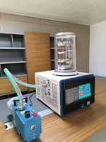 Vacuümdroger Machine Kleine Mini Groot Laboratorium Experimentele Voedsel Vloeibare Vriesdroogapparatuur ZLGJ-10