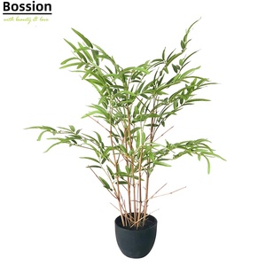 <span class=keywords><strong>Plante</strong></span> de <span class=keywords><strong>bambou</strong></span> <span class=keywords><strong>artificielle</strong></span> <span class=keywords><strong>pas</strong></span> chère Bossion pour la décoration de table à la maison, mini arbre en faux <span class=keywords><strong>bambou</strong></span> - Product Image 1
