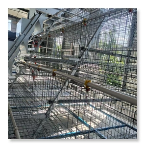 Cage de poulet de <span class=keywords><strong>poule</strong></span> de volaille et système d'eau pour 10000 oiseaux aménagement de conception de ferme de volaille au Ghana - Product Image 4