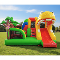 WINSUN Vente Flash Combo Gonflable Thème Hippopotame avec Toboggan et Château Gonflable pour Enfants, Fête Intérieure et Extérieure