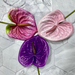 Fleur artificielle Anthurium en caoutchouc souple, 30cm-100cm, pour décoration de mariage et de maison, plante verte, décoration de vase de bureau - Product Image 2