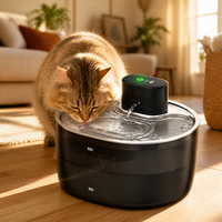 Fontaine à eau rechargeable pour animaux de compagnie 3,2 L, distributeur d'eau sans fil pour chat, commande tactile, acier inoxydable, fontaine à eau silencieuse