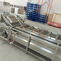 Goede Prijs Automatische Transport Bubble Fruit Reinigingsapparatuur Vers Fruit Dadels Druif Bubble Reinigingsmachine